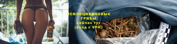 прущие крисы Алексеевка