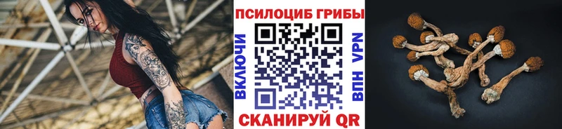 Галлюциногенные грибы прущие грибы закладки Карачаевск